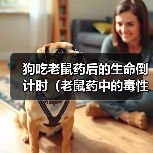 狗吃老鼠药后的生命倒计时（老鼠药中的毒性对狗的影响及危害）（图3）