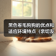 黑色卷毛狗狗的优点和适应环境特点（亲切友善、适合家庭生活的黑色卷毛狗狗）（图4）