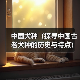 中国犬种（探寻中国古老犬种的历史与特点）（图3）