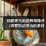 鹦鹉类鸟的品种与特点（探索鹦鹉类鸟的多样性及迷人之处）（图3）