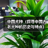 中国犬种（探寻中国古老犬种的历史与特点）（图4）