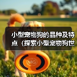 小型宠物狗的品种及特点（探索小型宠物狗世界，选择适合你的伴侣）（图4）