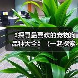 《探寻最喜欢的宠物狗品种大全》（一起探索178个宠物狗品种，寻找真爱）（图1）