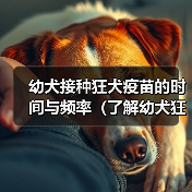 幼犬接种狂犬疫苗的时间与频率（了解幼犬狂犬疫苗的接种规定和注意事项）（图2）
