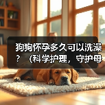 狗狗怀孕多久可以洗澡？（科学护理，守护母犬健康）（图2）
