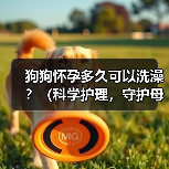 狗狗怀孕多久可以洗澡？（科学护理，守护母犬健康）（图1）