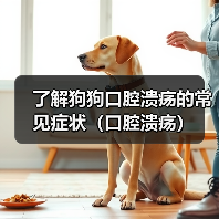 了解狗狗口腔溃疡的常见症状（口腔溃疡）（图4）