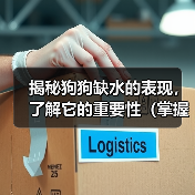 揭秘狗狗缺水的表现，了解它的重要性（掌握狗狗缺水的迹象，保护它的健康）（图4）