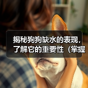 揭秘狗狗缺水的表现，了解它的重要性（掌握狗狗缺水的迹象，保护它的健康）（图2）