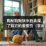 揭秘狗狗缺水的表现，了解它的重要性（掌握狗狗缺水的迹象，保护它的健康）（图3）