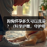 狗狗怀孕多久可以洗澡？（科学护理，守护母犬健康）（图4）