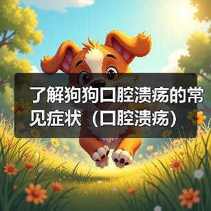 了解狗狗口腔溃疡的常见症状（口腔溃疡）（图3）