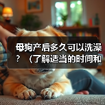 母狗产后多久可以洗澡？（了解适当的时间和方式，呵护新妈妈的健康）（图1）