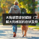 大狗感冒症状解析（了解大狗感冒的症状及预防措施）（图4）