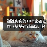 训练狗狗的10个必备动作（从基础到高级，轻松教会你的爱犬）（图1）