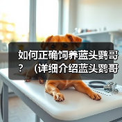 如何正确饲养蓝头鹦哥？（详细介绍蓝头鹦哥的生活习性和健康管理方法）（图4）