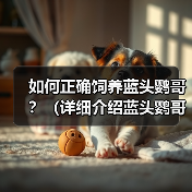 如何正确饲养蓝头鹦哥？（详细介绍蓝头鹦哥的生活习性和健康管理方法）（图2）