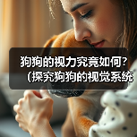 狗狗的视力究竟如何？（探究狗狗的视觉系统与常见视力问题）（图3）