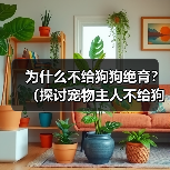 为什么不给狗狗绝育？（探讨宠物主人不给狗狗绝育的理由）（图3）