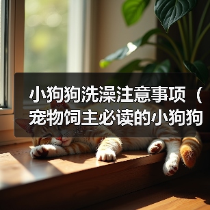 小狗狗洗澡注意事项（宠物饲主必读的小狗狗洗澡全攻略）（图3）