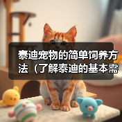 泰迪宠物的简单饲养方法（了解泰迪的基本需求，营造舒适生活环境）（图1）