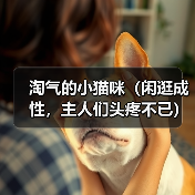 淘气的小猫咪（闲逛成性，主人们头疼不已）（图4）