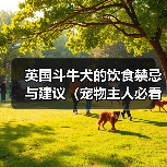 英国斗牛犬的饮食禁忌与建议（宠物主人必看，了解英国斗牛犬的饮食营养需求）（图4）
