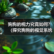 狗狗的视力究竟如何？（探究狗狗的视觉系统与常见视力问题）（图2）