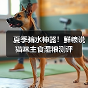 夏季骗水神器！鲜粮说猫咪主食湿粮测评（图1）