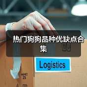 热门狗狗品种优缺点合集（图1）