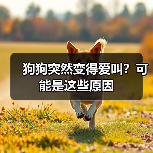 狗狗突然变得爱叫？可能是这些原因（图3）