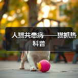 人猫共患病——猫抓热科普（图4）