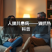 人猫共患病——猫抓热科普（图1）