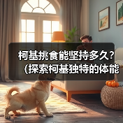 柯基挑食能坚持多久?(探索柯基独特的体能和毅力,揭示它们的持久之道)(图3) 柯基挑食能坚持多久?(探索柯基独特的体能和毅力,揭示它们的持久之道)(图3)