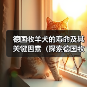 德国牧羊犬的寿命及其关键因素(探索德国牧羊犬寿命的多种因素和如何延长它们的生命周期)(图3) 德国牧羊犬的寿命及其关键因素(探索德国牧羊犬寿命的多种因素和如何延长它们的生命周期)(图3)