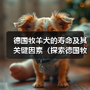德国牧羊犬的寿命及其关键因素(探索德国牧羊犬寿命的多种因素和如何延长它们的生命周期)(图4) 德国牧羊犬的寿命及其关键因素(探索德国牧羊犬寿命的多种因素和如何延长它们的生命周期)(图4)