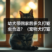 幼犬带回家后多久打驱虫合适?(宠物犬打驱虫时间表与方法解析)(图1) 幼犬带回家后多久打驱虫合适?(宠物犬打驱虫时间表与方法解析)(图1)