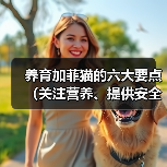 养育加菲猫的六大要点(关注营养、提供安全、给予关爱,打造幸福加菲猫生活)(图2) 养育加菲猫的六大要点(关注营养、提供安全、给予关爱,打造幸福加菲猫生活)(图2)
