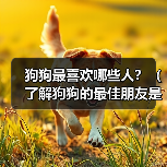 狗狗最喜欢哪些人?(了解狗狗的最佳朋友是谁)(图3) 狗狗最喜欢哪些人?(了解狗狗的最佳朋友是谁)(图3)
