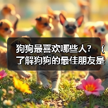狗狗最喜欢哪些人?(了解狗狗的最佳朋友是谁)(图2) 狗狗最喜欢哪些人?(了解狗狗的最佳朋友是谁)(图2)