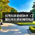 拉布拉多的优缺点(了解拉布拉多的特性和适合条件)(图2) 拉布拉多的优缺点(了解拉布拉多的特性和适合条件)(图2)