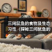 三间鼠鱼的食物及生态习性(探秘三间鼠鱼的饮食和生存方式)(图2) 三间鼠鱼的食物及生态习性(探秘三间鼠鱼的饮食和生存方式)(图2)