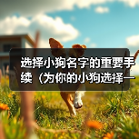 选择小狗名字的重要手续(为你的小狗选择一个恰当的名字的15个步骤)(图3) 选择小狗名字的重要手续(为你的小狗选择一个恰当的名字的15个步骤)(图3)