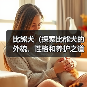 比熊犬（探索比熊犬的外貌、性格和养护之道）（图3）