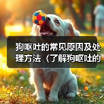 狗呕吐的常见原因及处理方法（了解狗呕吐的原因，为你的爱犬提供正确的帮助）（图4）