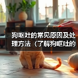 狗呕吐的常见原因及处理方法（了解狗呕吐的原因，为你的爱犬提供正确的帮助）（图1）
