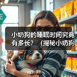 小奶狗的睡眠时间究竟有多长？（揭秘小奶狗的睡眠习惯及其对健康的影响）（图1）