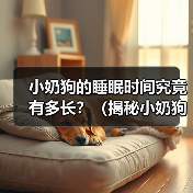 小奶狗的睡眠时间究竟有多长？（揭秘小奶狗的睡眠习惯及其对健康的影响）（图3）