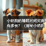 小奶狗的睡眠时间究竟有多长？（揭秘小奶狗的睡眠习惯及其对健康的影响）（图4）