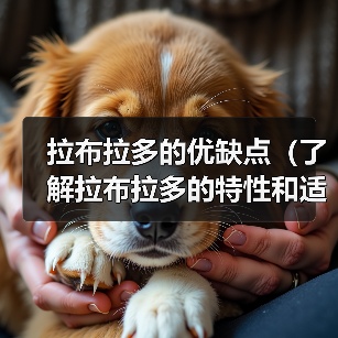 拉布拉多的优缺点(了解拉布拉多的特性和适合条件)(图4) 拉布拉多的优缺点(了解拉布拉多的特性和适合条件)(图4)
